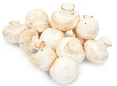 Do Mushrooms Need Refrigeration?