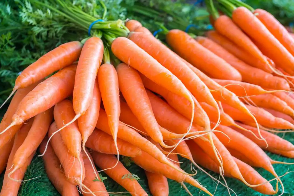 How Long Will Baby Carrots Stay Fresh In The Fridge