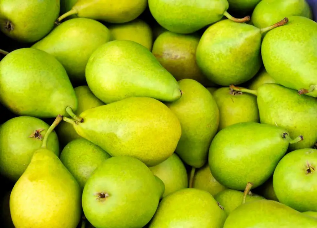 How Should You Store Pears