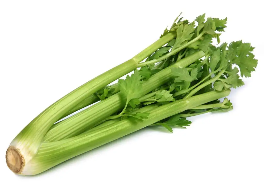 How to Store Celery in the Fridge