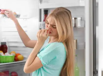  How To Get Rid Of Fishy Odor In The Refrigerator