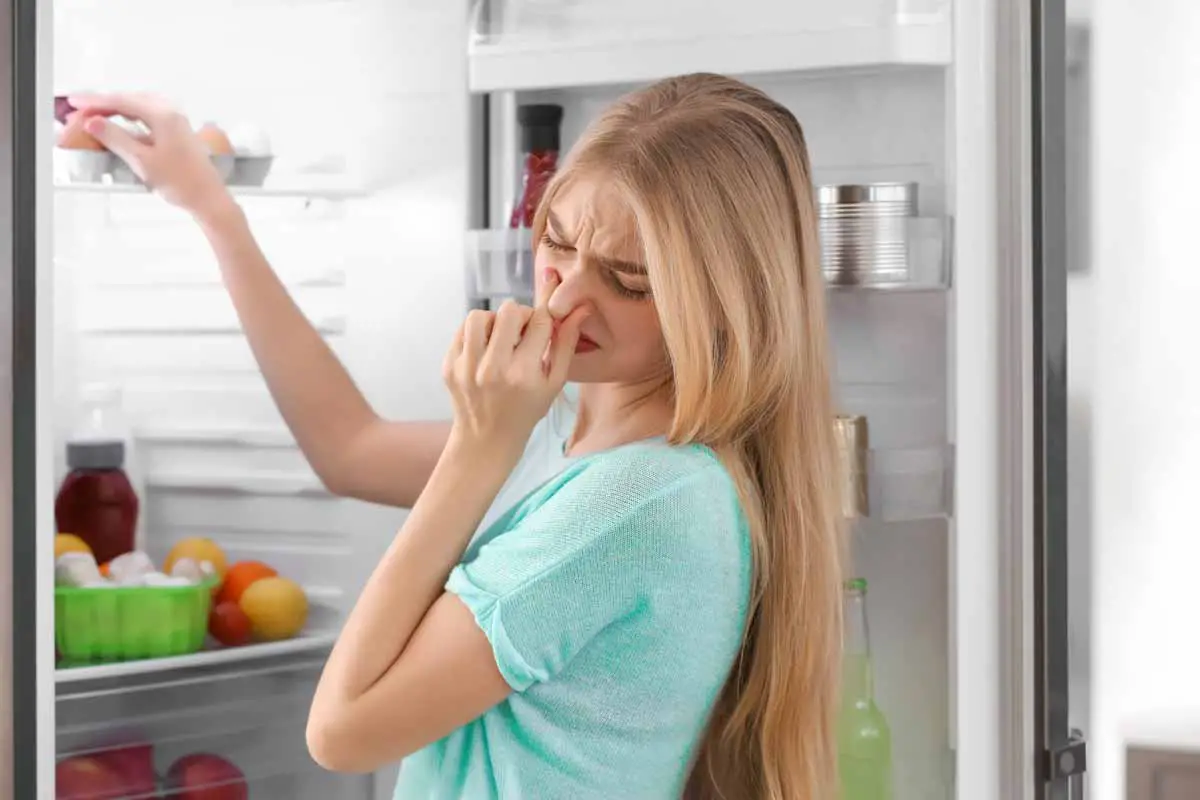 Get Rid Of Fish Smells In A Fridge