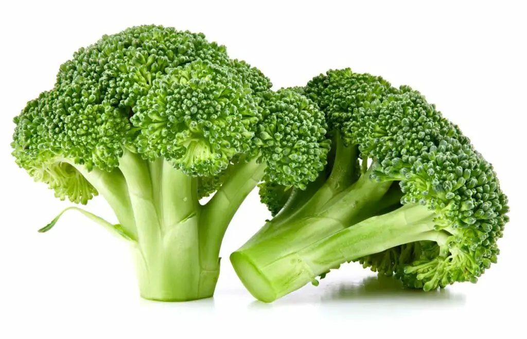 Tips for Storing Broccoli in the Refrigerator