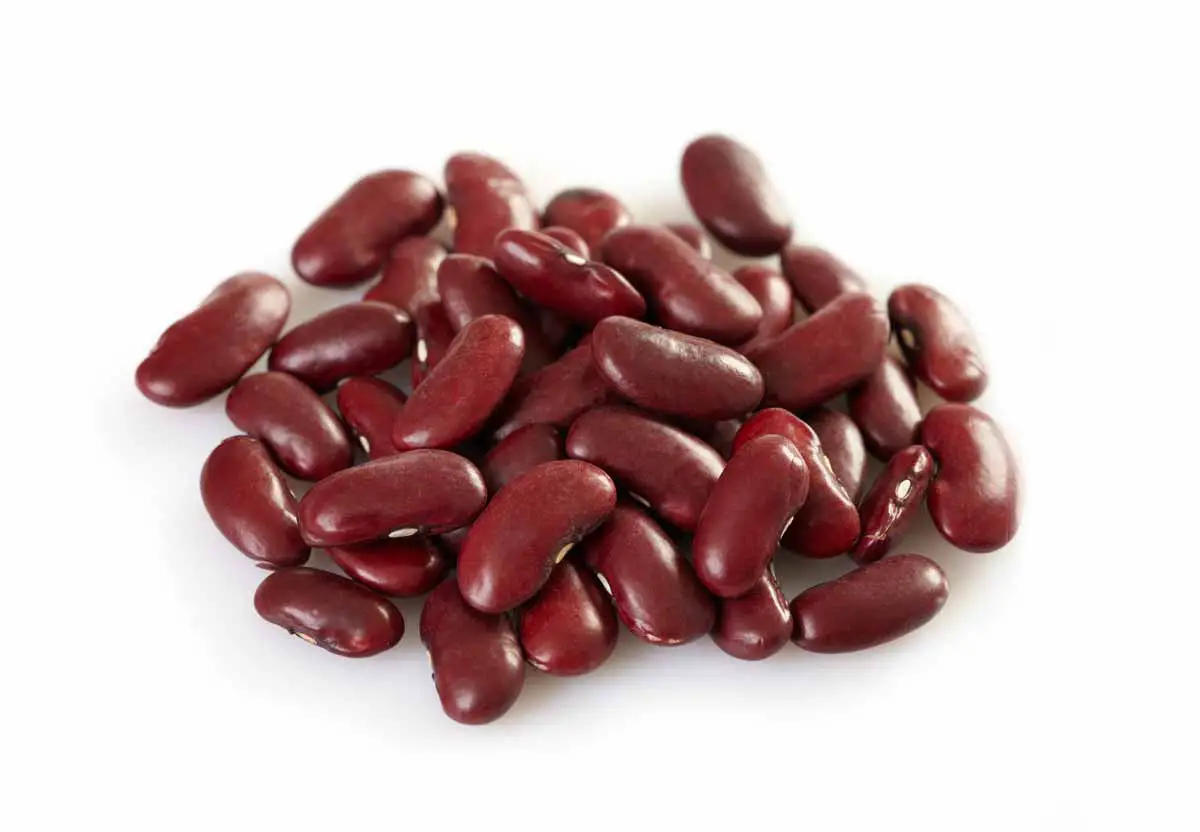How to Prevent Bacterial Growth in Beans While Soaking