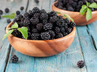 Do Blackberries Need To Be Refrigerated? Click here to see it in more detail