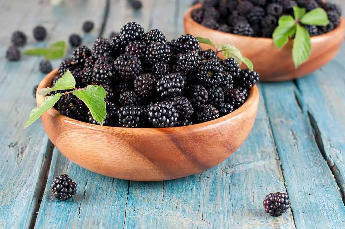 Should You Wash Blackberries Before Refrigerating Them