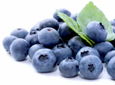Do Blueberries Need To Be Refrigerated?