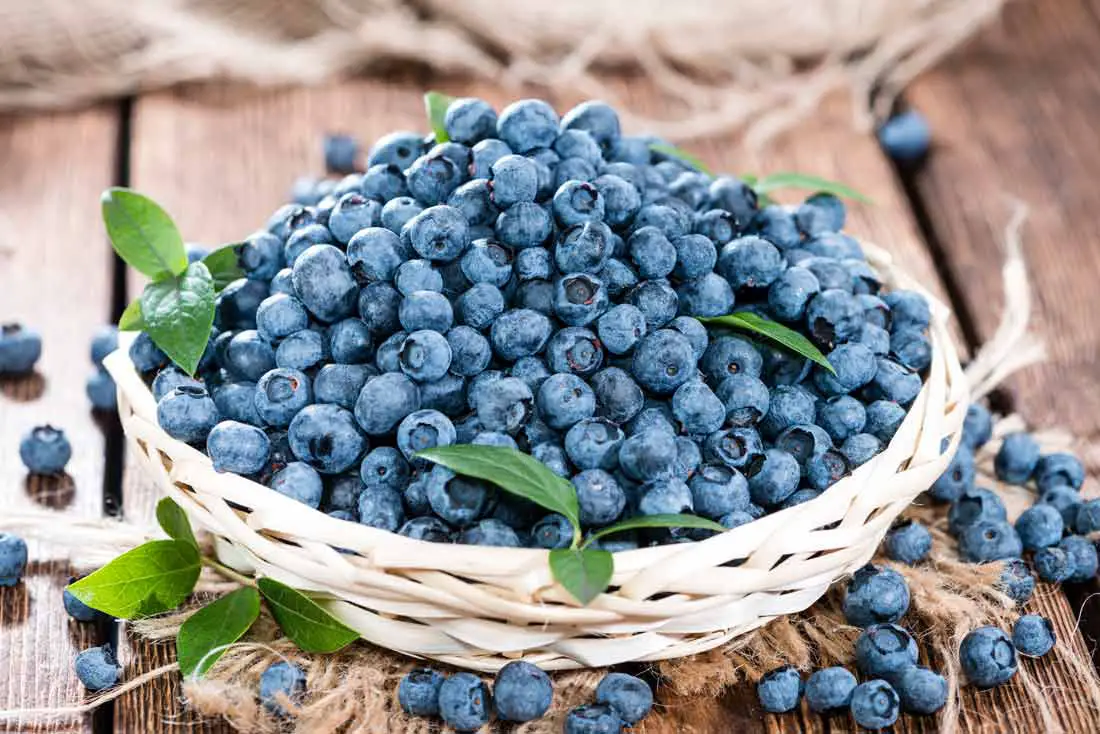 Should You Wash Blueberries Before Storing Them