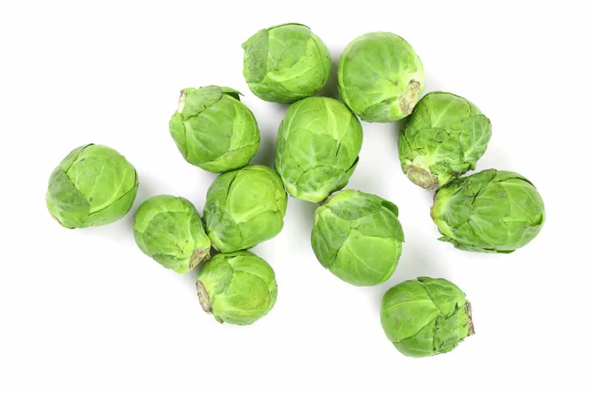Do You Have To Keep Brussels Sprouts In The Fridge