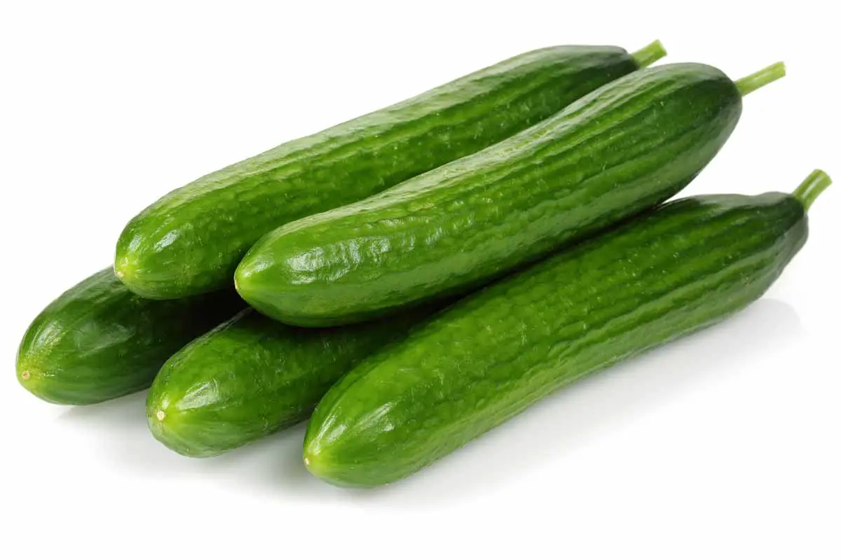 A fresh cucumber