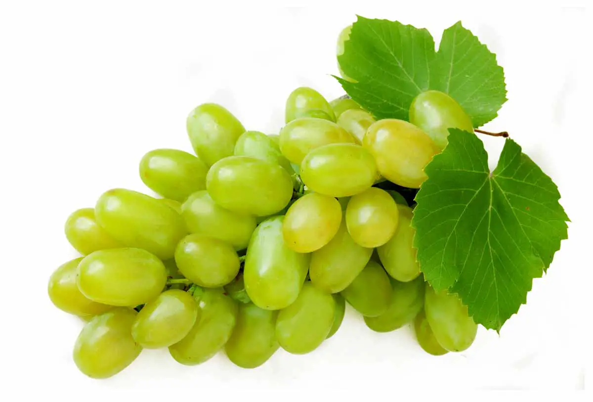How Can You Make Grapes Last Longer