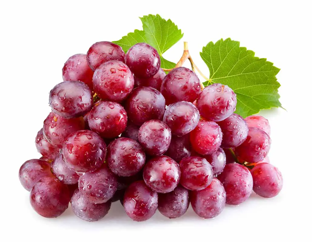 How Long Will Grapes Last At Room Temperature