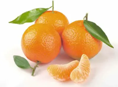 Do Clementines Need To Be Refrigerated?