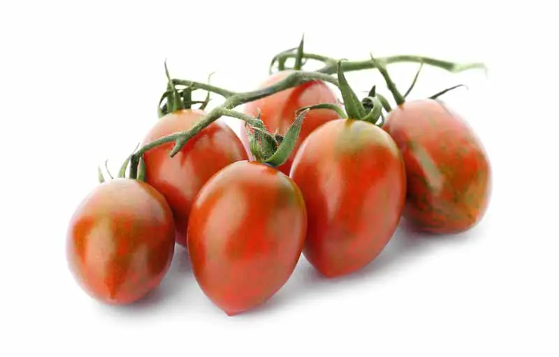 Ideal Storage Conditions for Grape Tomatoes