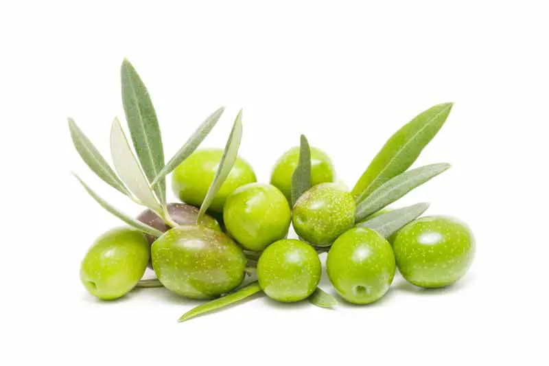 Can You Freeze Green Olives?