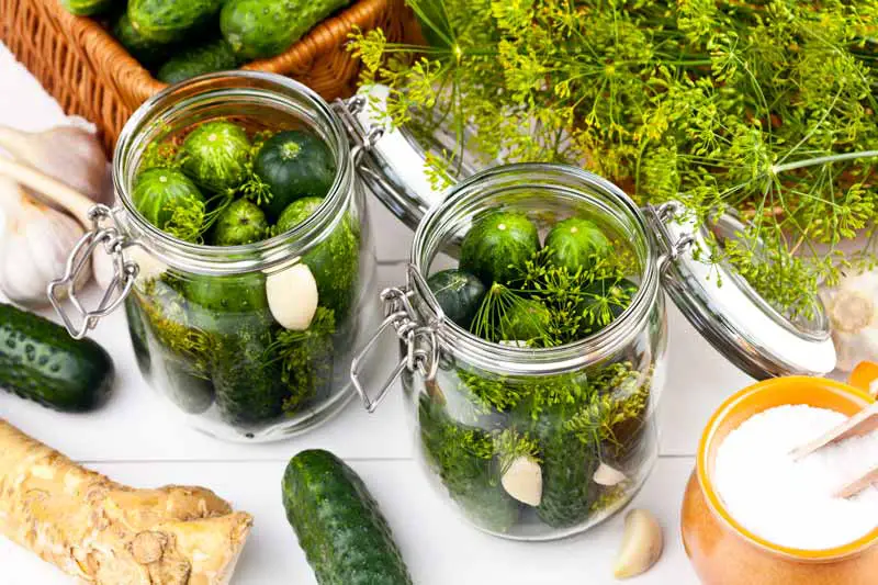 Do Homemade Pickles Need to Be Refrigerated?